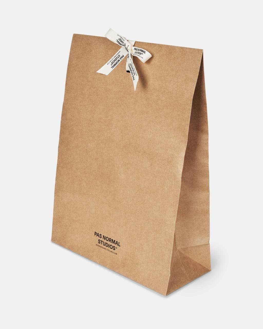 PNS Paper Gift Bag